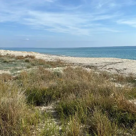 Seaside